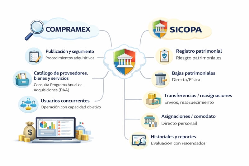 ChatGPT Image 13 feb 2026, 11_24_56