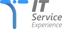 IT SERVICE EXPERIENCE