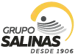 logo-GrupoSalinas logo-GrupoSalinas