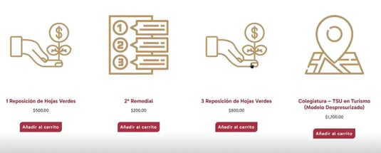 captura-conceptos-pago-ut-calakmul