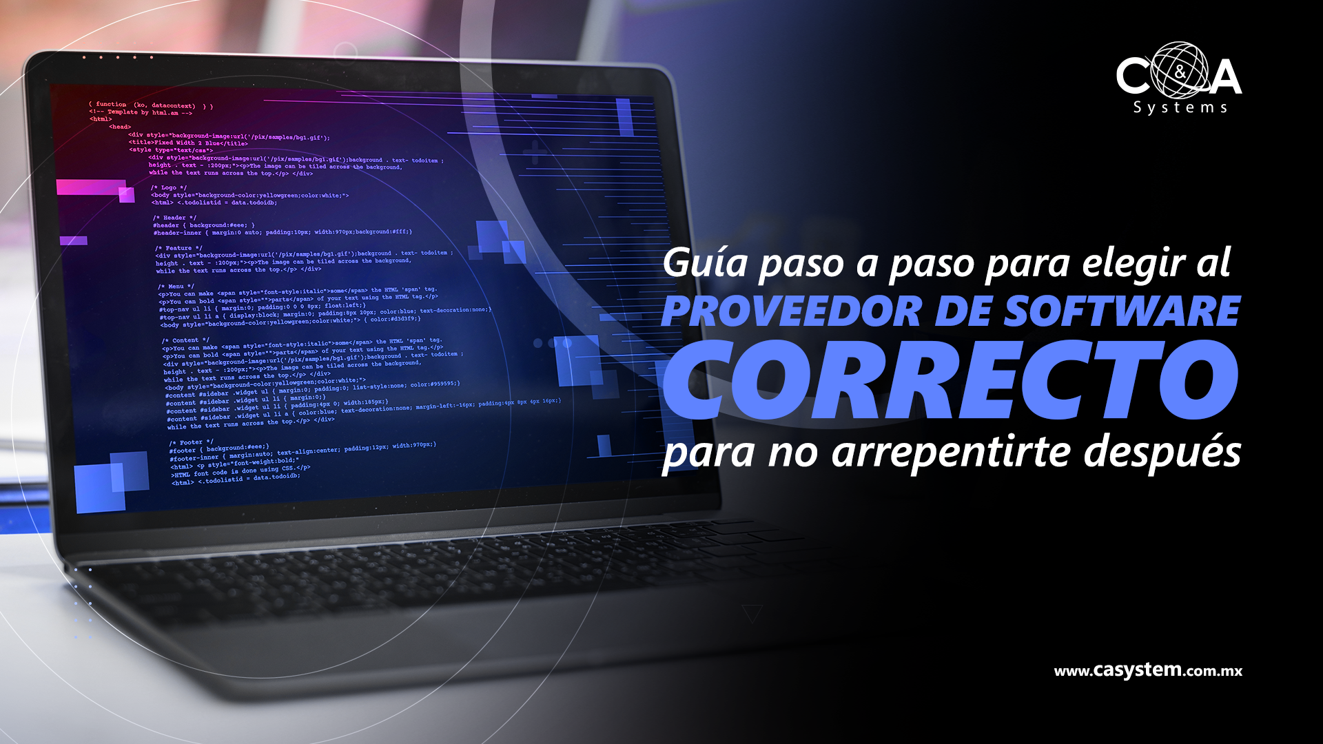 Cómo Elegir el Proveedor de Software