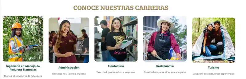 captura-carreras-ut-calakmul